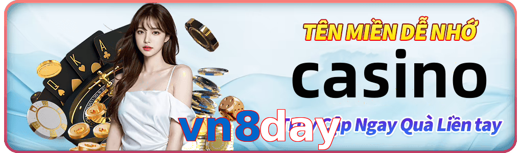 vn8day