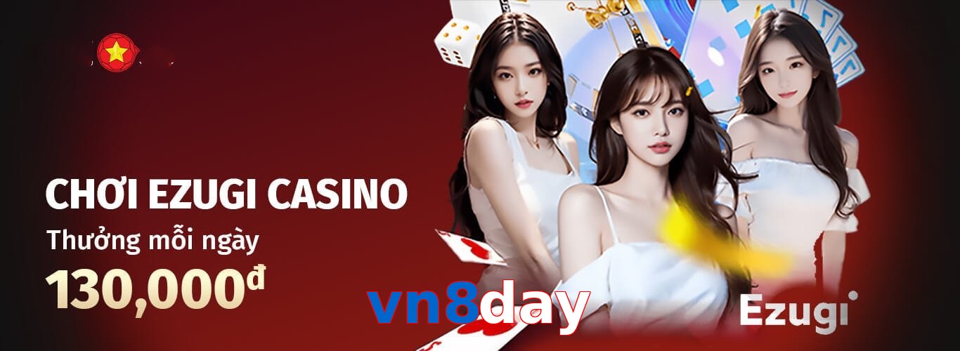 vn8day