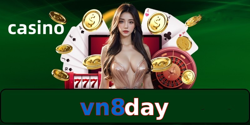 vn8day