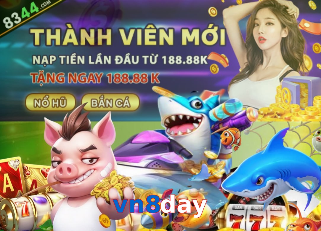 vn8day